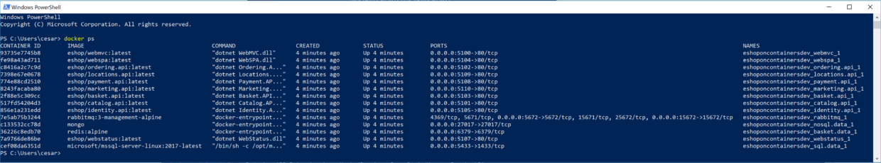 运行中的容器列表